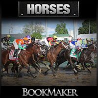 BookMaker.eu