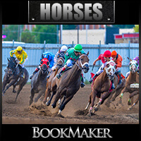 BookMaker.eu